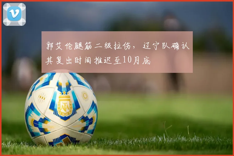 郭艾伦腿筋二级拉伤，辽宁队确认其复出时间推迟至10月底
