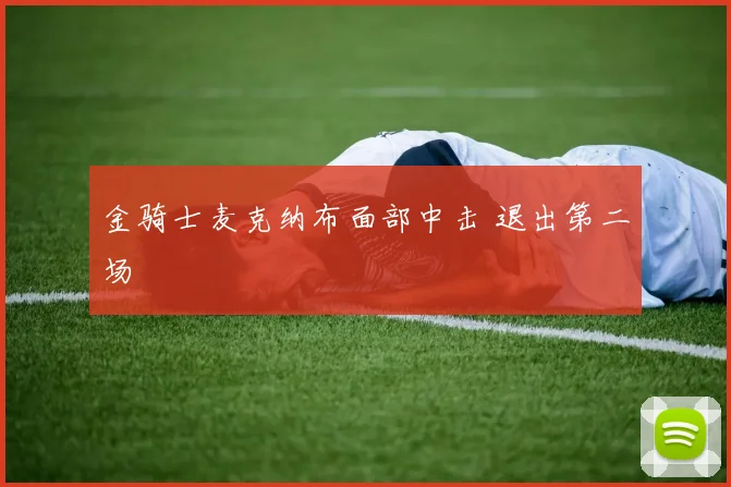 金骑士麦克纳布面部中击 退出第二场